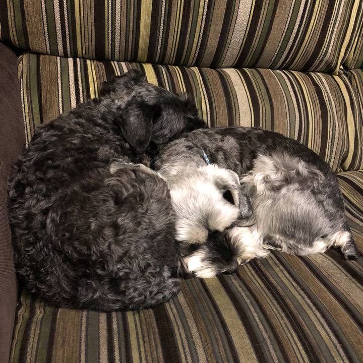 8452ec45 2663 40f6 9188 0cc1f82565b9 1524063980073