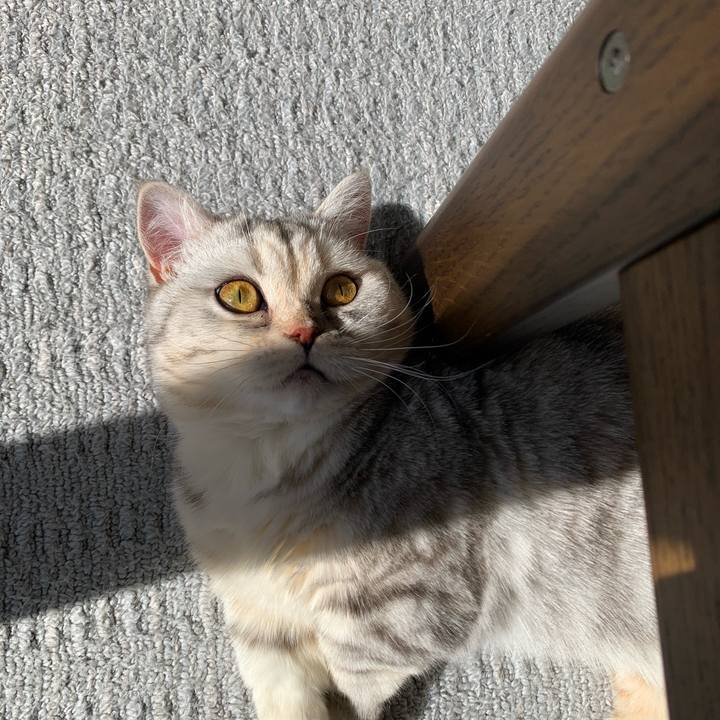 84535022 3484 425f b7be 58ed4c6e9945 1709425790914