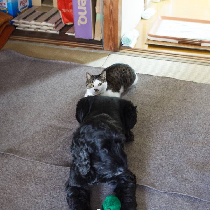 84535500 83ea 4a12 8cdb 248136b6026b 1526712564575