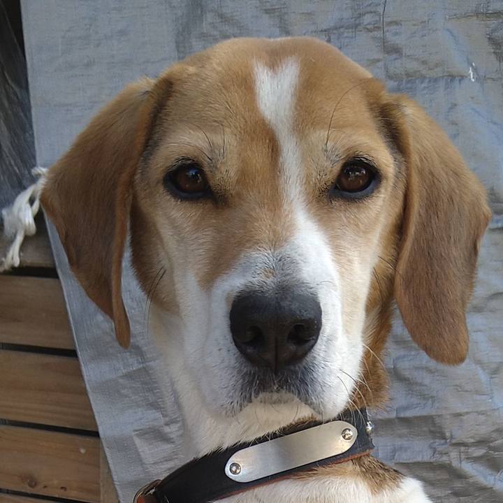 84538ef3 8f98 491d a465 f9707de0569e 1646233997430