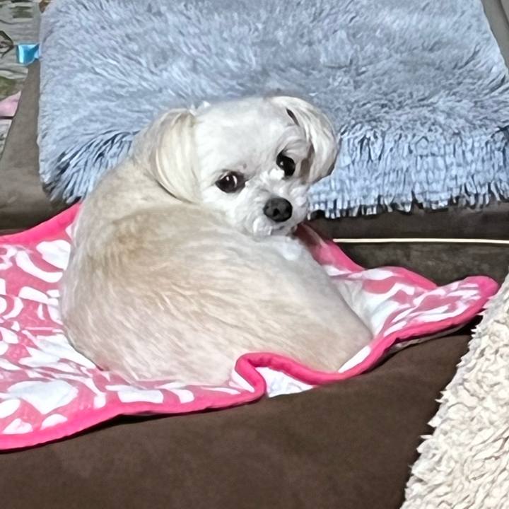 8453da2c a4cc 40a4 af71 d9194911cd28 1667303838139