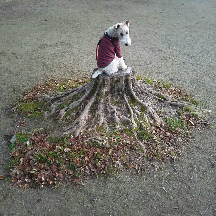 8453f8d3 5d00 4be8 8b3e 5060ece84186 1546505371112