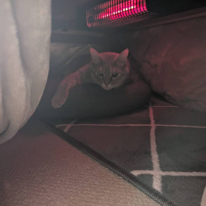 8454146f 3837 43eb 9714 f950a00739fd 1738730059294