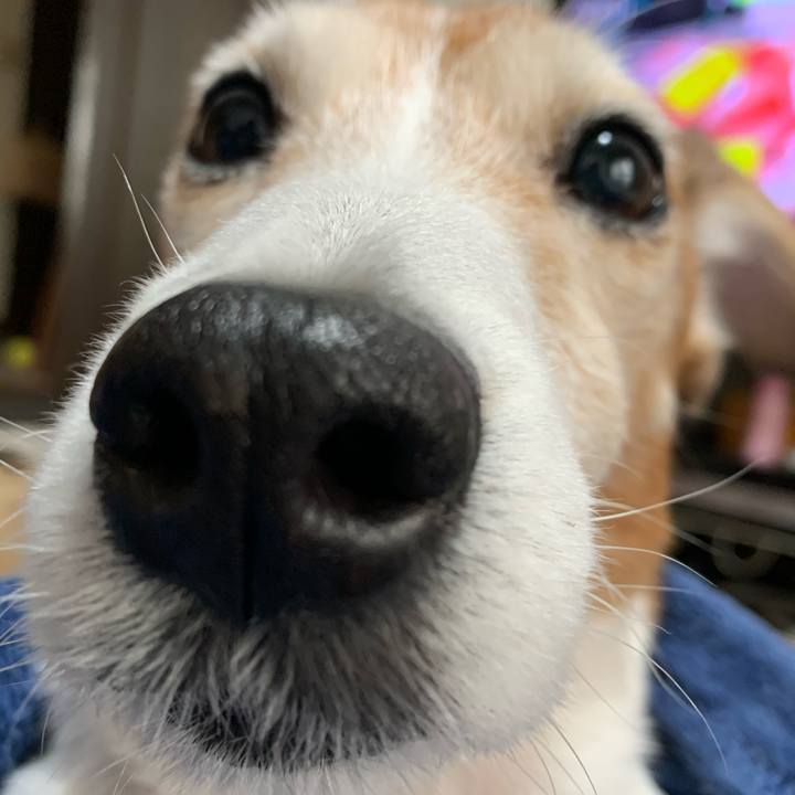 84542d9c 513e 4c82 beb9 d1999264eb77 1584179647228