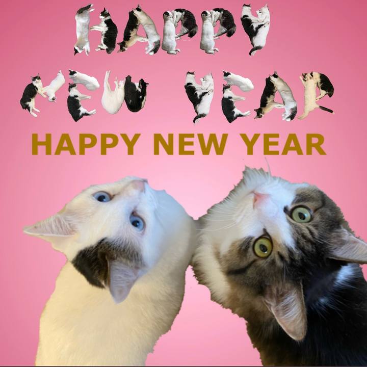 84544695 66e2 469f 924a bc48d00b2d84 1672540697712