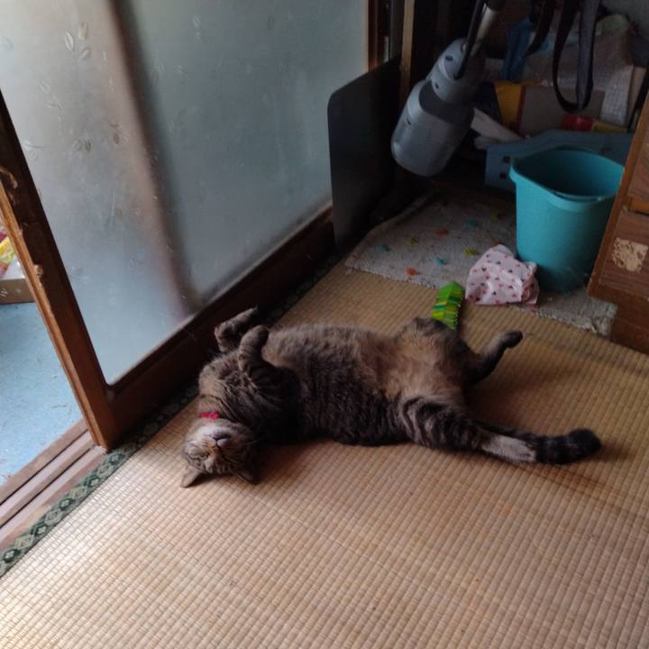 84544730 03b8 4670 b9bb 41e53e8ba591 1691474881927