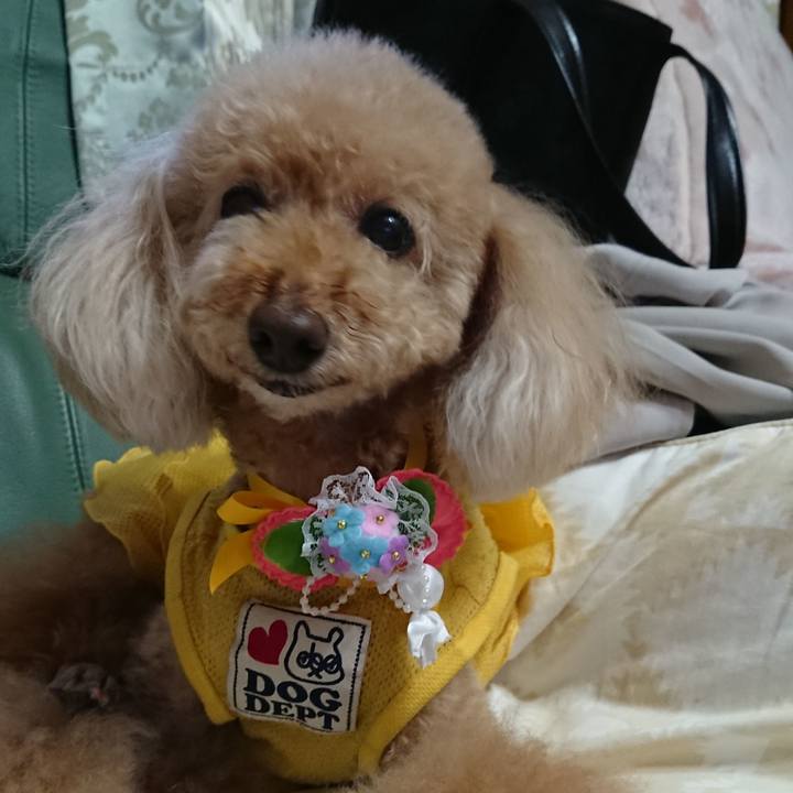 8454ed5c 4721 4a5f 86b0 ff98ec8d7158 1594546529312