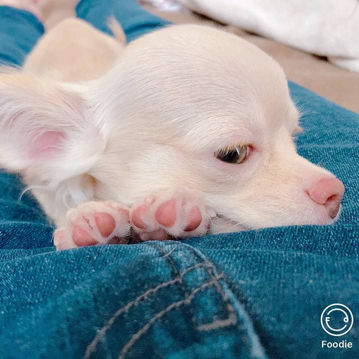 84550b6f 1806 464e 8541 52675c560ac1 1593757354658