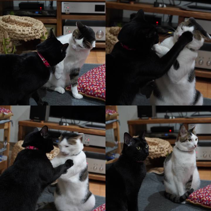 84550c1c 13dc 42d0 988d 0b167c87f803 1576033788515