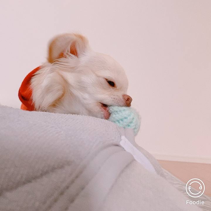 84558318 2edf 4938 98d2 b6f5f2891e2a 1605685087860