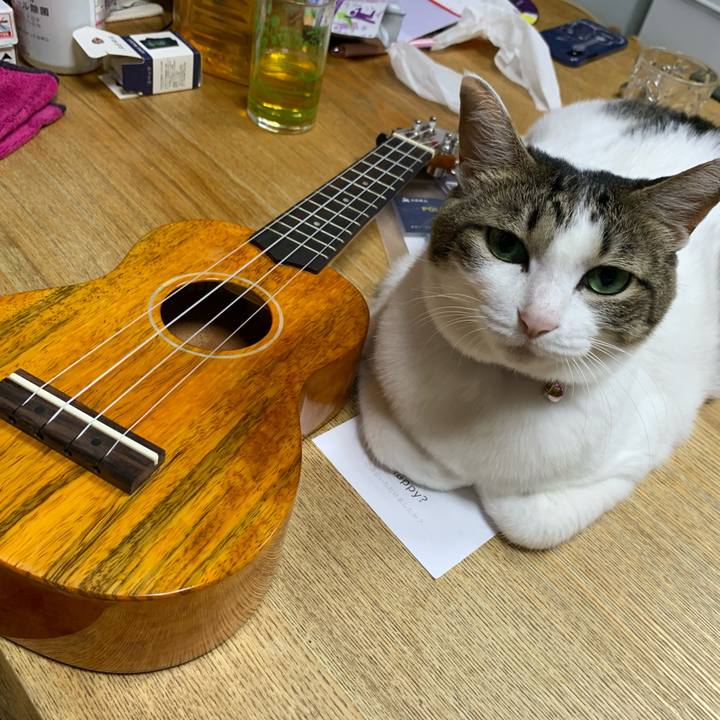 8455ae44 568b 4bee 97c6 218e408b45ed 1628603669564