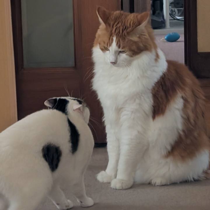 8455b2e0 3a81 48ad aee5 08e7ff56f4b5 1762484199933