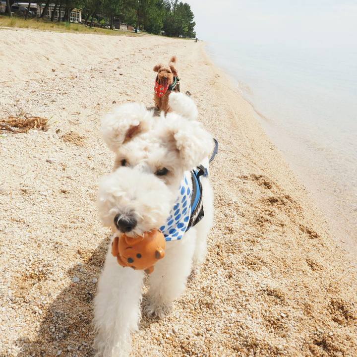 84560e4b 85fd 4788 a5d6 bc632c1134f7 1526220823825