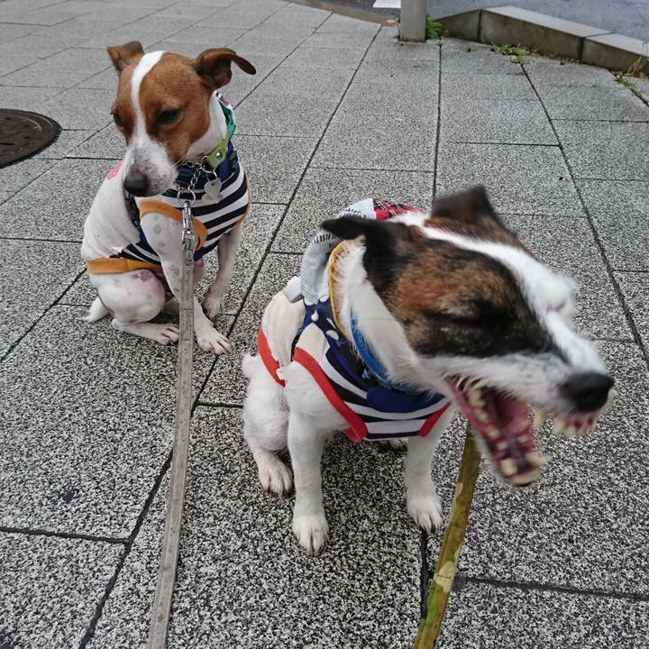 8456176e cf11 42cb b2cd 8c05f629aca2 1571349266078