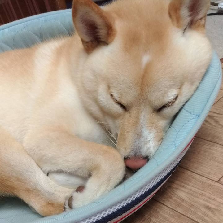 84564bb1 d769 4a17 b41f 317b5ff60eb1 1533695443576