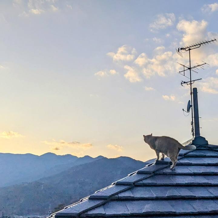 84565560 481b 4bad ac19 a0c3e30ba882 1773220061483