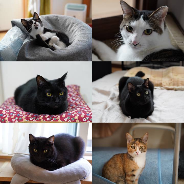 84566a77 c659 4093 89a4 af996d026b62 1572393804213