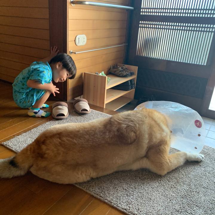 8456b3ff cd10 43a3 a5d9 0323c4a95df7 1626855995561