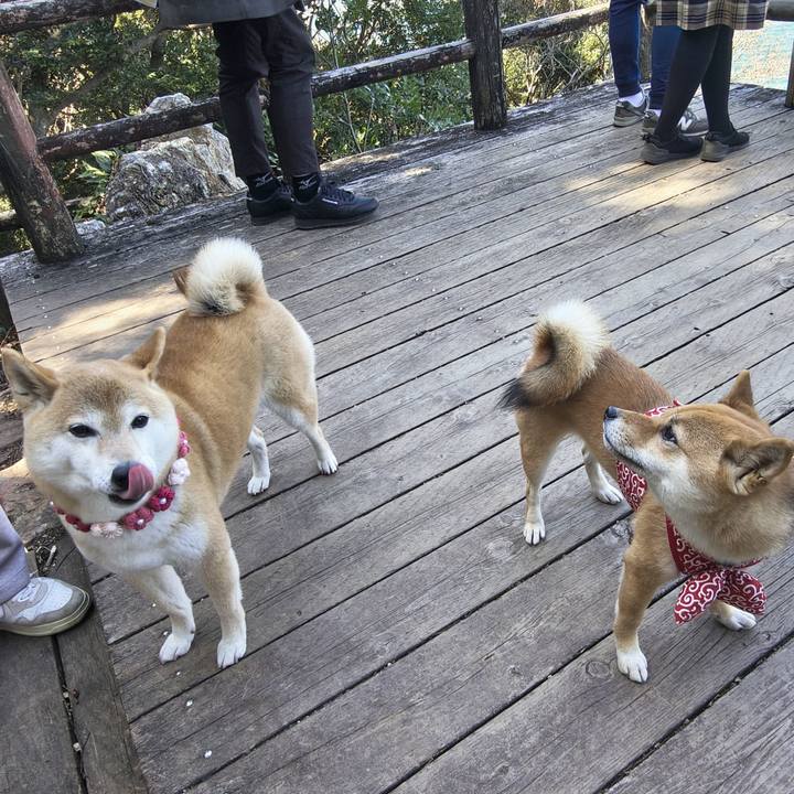 8456b61e e551 410d a6f6 77bd6c060876 1773050665852