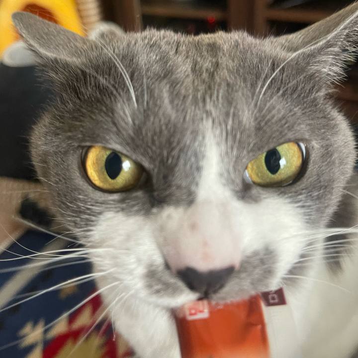 84570103 11a7 4ca9 96a4 1c47d4fbb15c 1682317666815