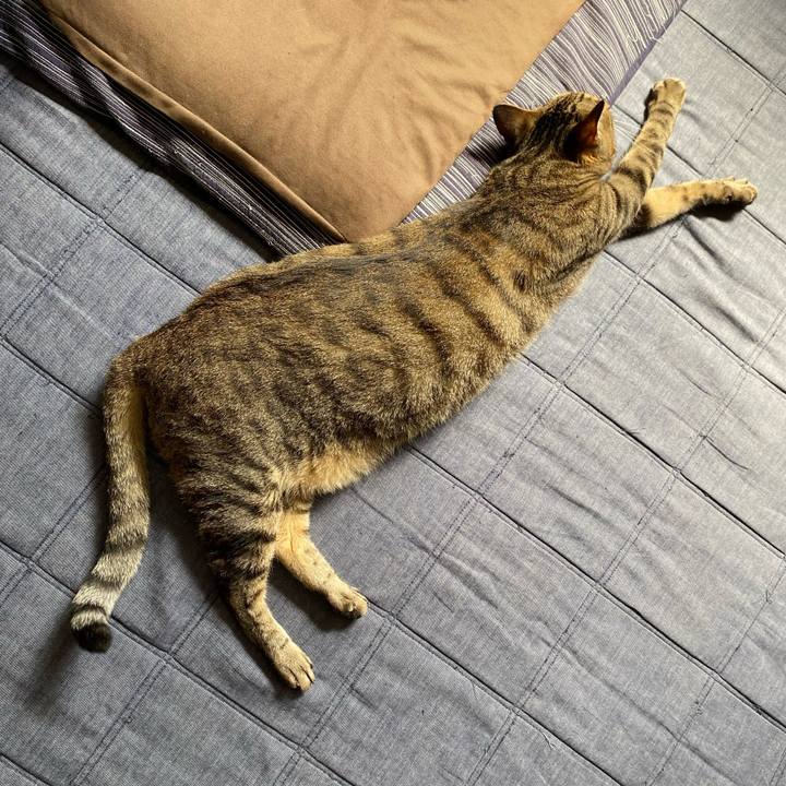 84570a0f 235c 4e81 b7bb b5880e9ffe8a 1694807664450