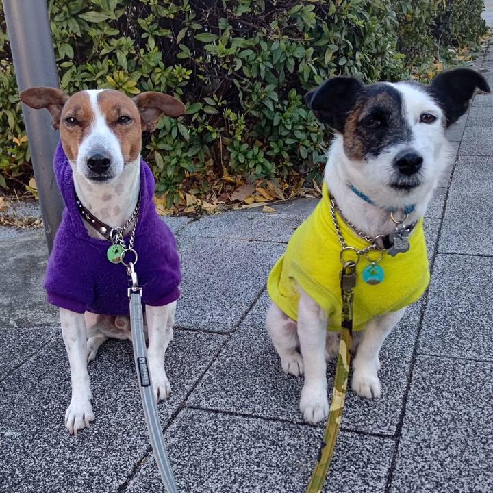 84572b7c cbbf 4c45 9a14 e68bafde4143 1672094943813