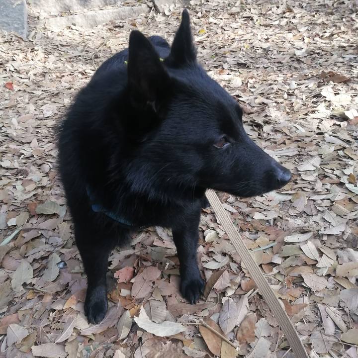 84574ade 0496 42c9 a863 35bd68ed59e4 1649714407275