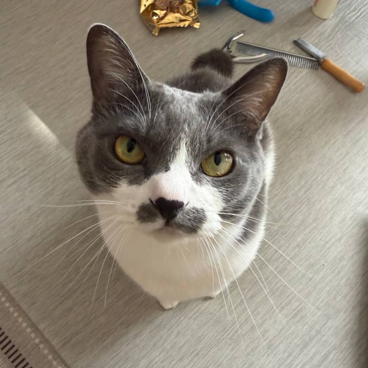 84579867 a693 447a add0 47909ff44663 1763257164475