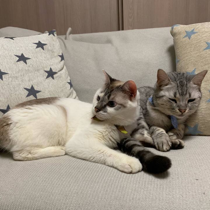 8457c6a9 129b 46ae 85b8 2e964c493339 1567383206324