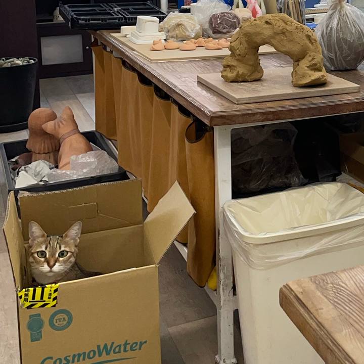 8457d93c d1e4 49ba bef4 1ca03284274d 1744889917491