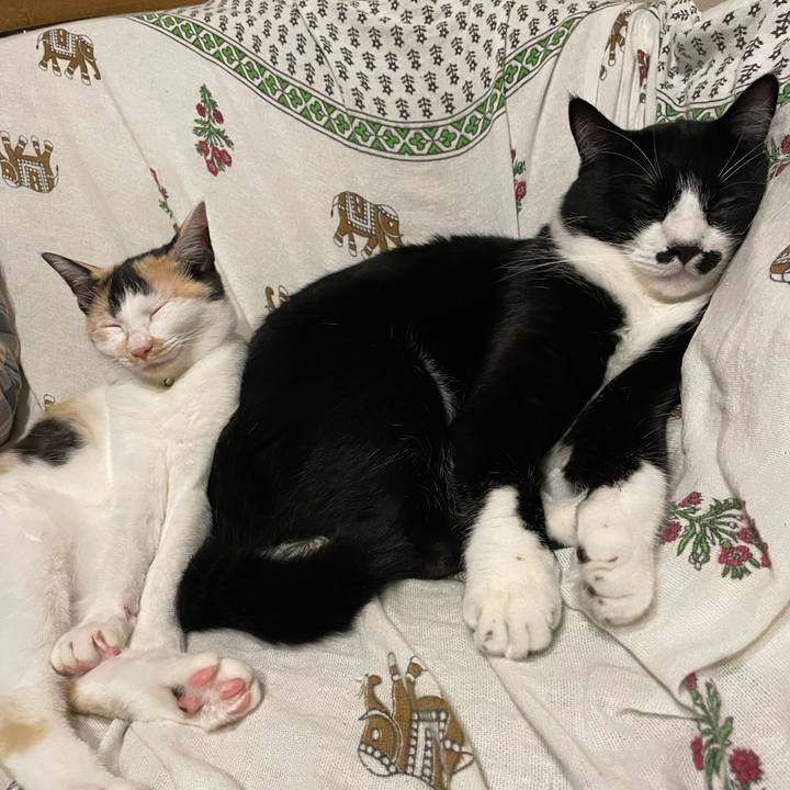 845813a2 cca2 4cb6 bc24 4e5c0567b22a 1666525427426