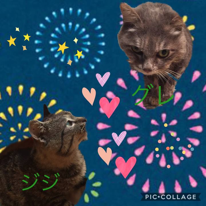 845820cd 32ab 4bb1 b277 9582a318bfaf 1566018225832