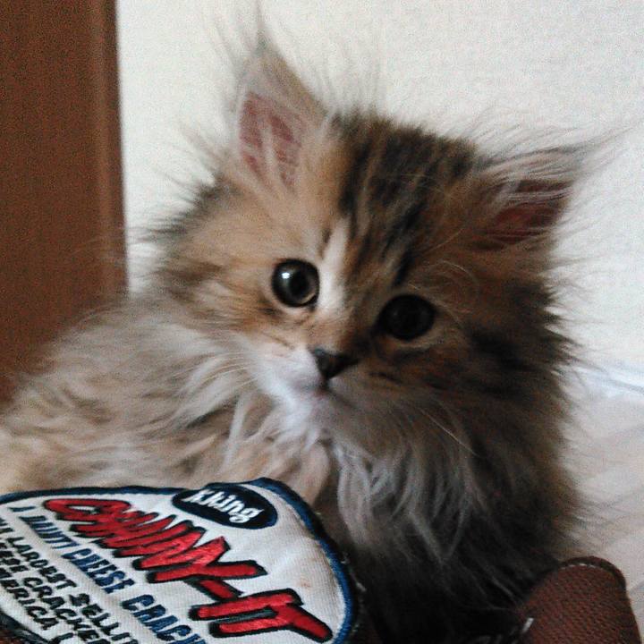 84582142 74ec 46f0 a1a6 2a361545a518 1702770840194