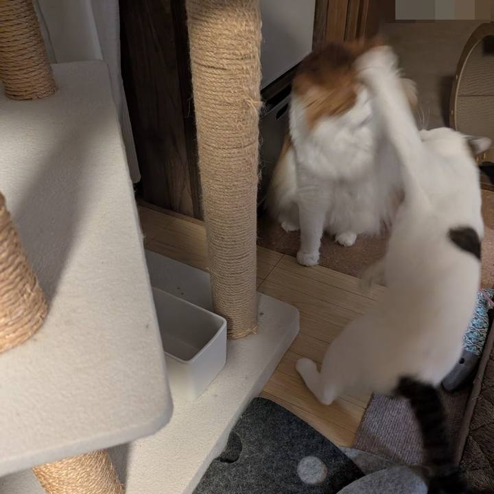 84582359 47f7 46be a89d d74e40fef183 1748442843031