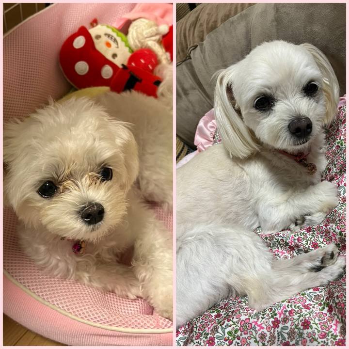 84586ecb 8ddf 4595 bca9 eb7c188a4aa5 1719921109960