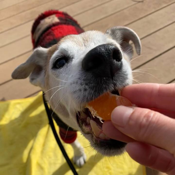 845874eb 2ce3 45ea 9d09 01a8d81c0dcb 1640930332913