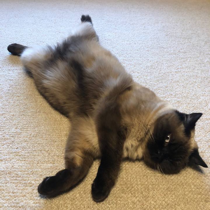 84588053 49eb 46fd 8cdf 1d873c121a6f 1614593673245