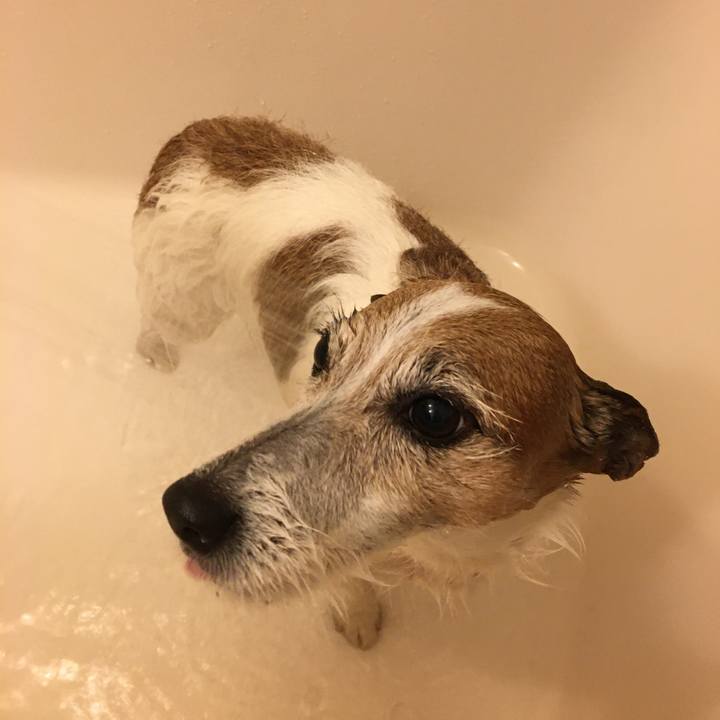 84589e7f fb89 47fe a607 346c9b576a3b 1646695693565