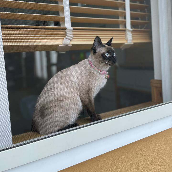 84589e83 d88c 48af 806b c0a6b112bf04 1714337766342