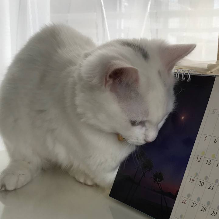 8458a95a 8f85 47a2 aaf8 18704fdf3adf 1512004746454