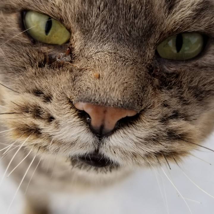 8458e933 283f 4c0d 917b 50a30bc429ed 1547538840179