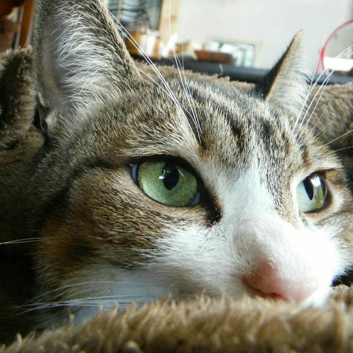 84590724 6b5d 432c bca3 3beeed9b301f 1547272066155