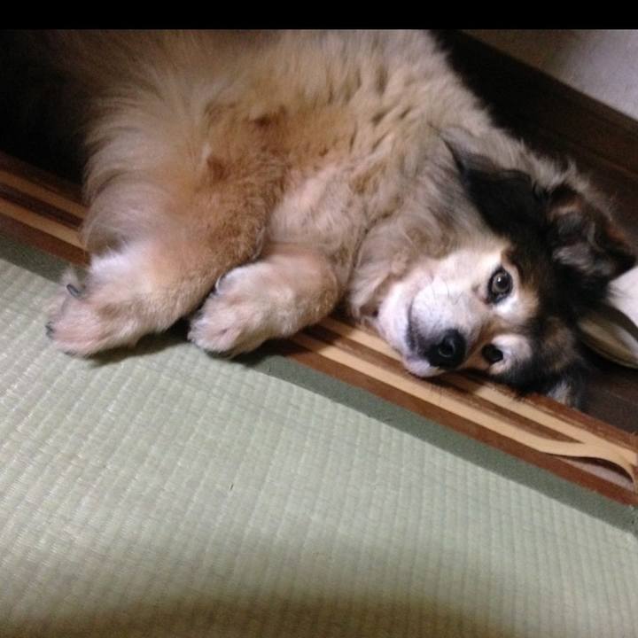 84590853 fc0d 4c5a aa3b 5b60c131fe40 1593222174356