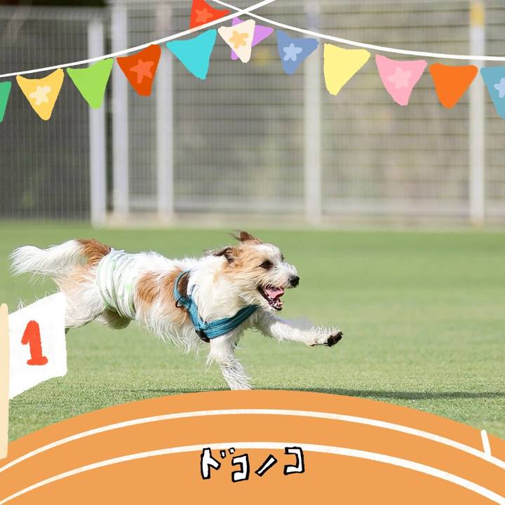 84596124 0dae 431d 8f82 f4fb2326b379 1761470510436