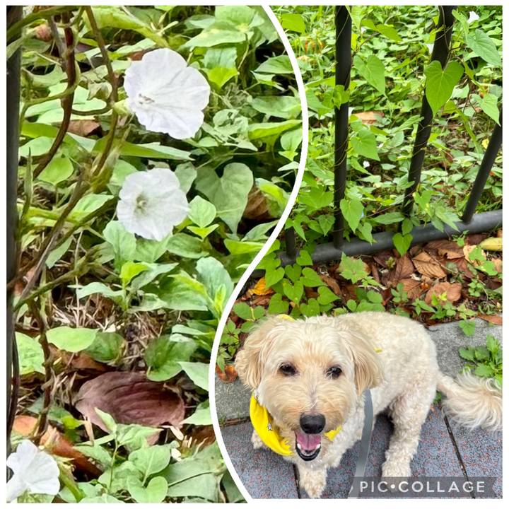 84596890 18c3 436b 8417 6ef1e4e546a0 1758843494149