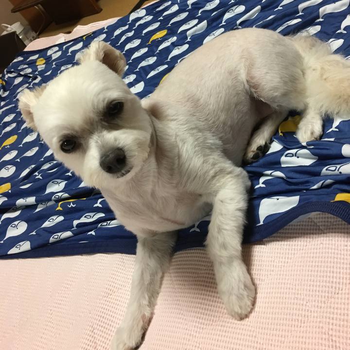 84599acd 0602 4a0a ac19 3aaf8dd6e40f 1566383468370