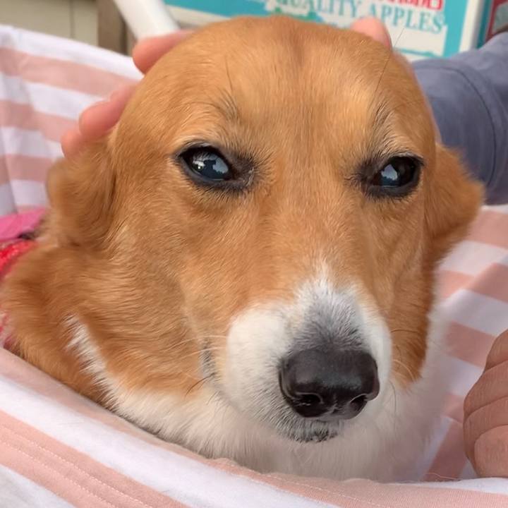 8459b50b 52bf 4726 bb92 e90ba6a479be 1672992245658