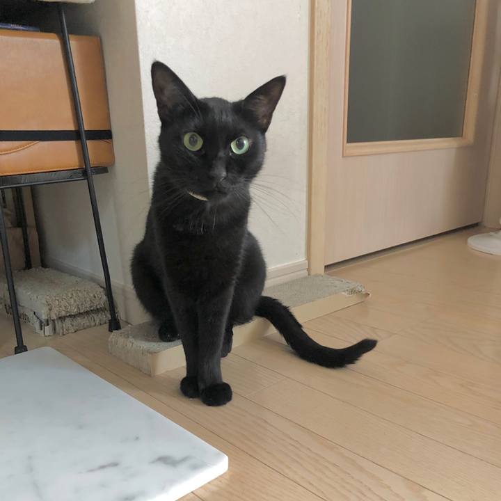 8459c7b6 72aa 45a0 bc9e 4abba8a7ebd0 1597754581963