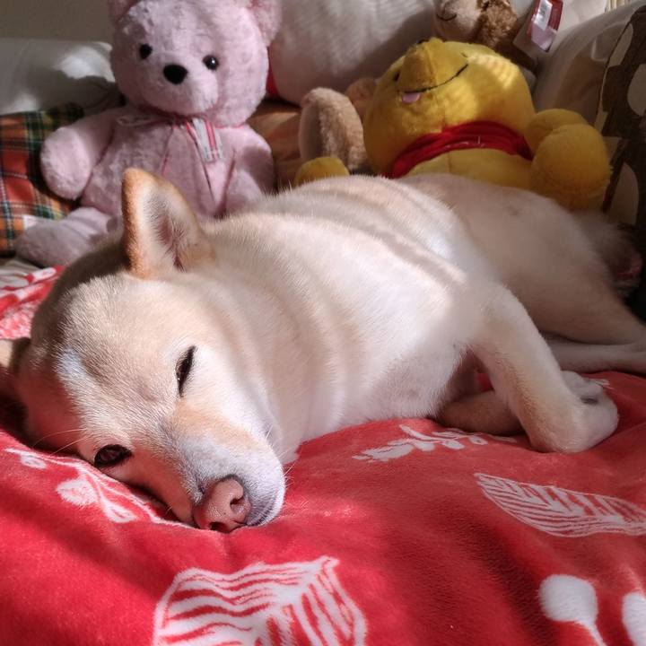 8459d2a6 2ba6 4085 aae9 2085fe9b82ad 1579230692208