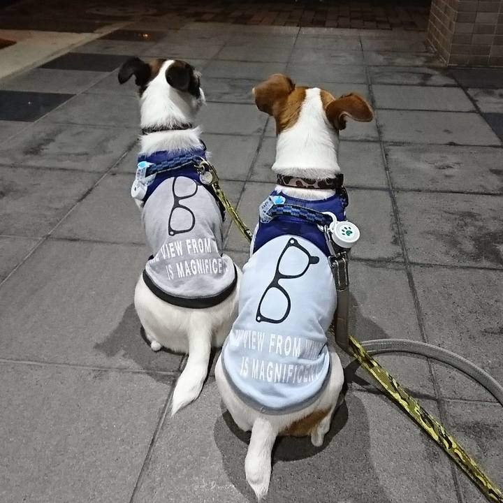 8459e0a4 d0a6 452d a836 ef50826ff7b4 1539258135322